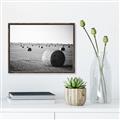 Picture of Hay Bails _GroupedProduct_Rectangle_Landscape_Photography _GroupedProduct_Rectangle_Landscape_Canvas_Framed_