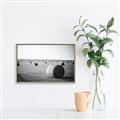 Picture of Hay Bails _GroupedProduct_Rectangle_Landscape_Photography _GroupedProduct_Rectangle_Landscape_Canvas_Framed_