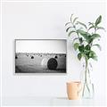 Picture of Hay Bails _GroupedProduct_Rectangle_Landscape_Photography _GroupedProduct_Rectangle_Landscape_Canvas_Framed_