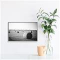 Picture of Hay Bails _GroupedProduct_Rectangle_Landscape_Photography _GroupedProduct_Rectangle_Landscape_Canvas_Framed_