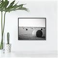 Picture of Hay Bails _GroupedProduct_Rectangle_Landscape_Photography _GroupedProduct_Rectangle_Landscape_Canvas_Framed_
