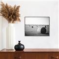 Picture of Hay Bails _GroupedProduct_Rectangle_Landscape_Photography _GroupedProduct_Rectangle_Landscape_Canvas_Framed_