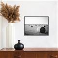 Picture of Hay Bails _GroupedProduct_Rectangle_Landscape_Photography _GroupedProduct_Rectangle_Landscape_Canvas_Framed_