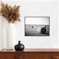 Picture of Hay Bails _GroupedProduct_Rectangle_Landscape_Photography _GroupedProduct_Rectangle_Landscape_Canvas_Framed_