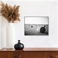 Picture of Hay Bails _GroupedProduct_Rectangle_Landscape_Photography _GroupedProduct_Rectangle_Landscape_Canvas_Framed_