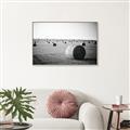 Picture of Hay Bails _GroupedProduct_Rectangle_Landscape_Photography _GroupedProduct_Rectangle_Landscape_Canvas_Framed_