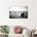Picture of Hay Bails _GroupedProduct_Rectangle_Landscape_Photography _GroupedProduct_Rectangle_Landscape_Canvas_Framed_
