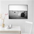 Picture of Hay Bails _GroupedProduct_Rectangle_Landscape_Photography _GroupedProduct_Rectangle_Landscape_Canvas_Framed_