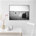 Picture of Hay Bails _GroupedProduct_Rectangle_Landscape_Photography _GroupedProduct_Rectangle_Landscape_Canvas_Framed_