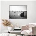 Picture of Hay Bails _GroupedProduct_Rectangle_Landscape_Photography _GroupedProduct_Rectangle_Landscape_Canvas_Framed_