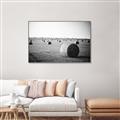 Picture of Hay Bails _GroupedProduct_Rectangle_Landscape_Photography _GroupedProduct_Rectangle_Landscape_Canvas_Framed_