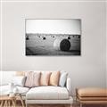 Picture of Hay Bails _GroupedProduct_Rectangle_Landscape_Photography _GroupedProduct_Rectangle_Landscape_Canvas_Framed_