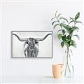 Picture of Painted Longhorn Bull _GroupedProduct_Rectangle_Landscape_Canvas_Framed_