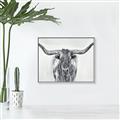 Picture of Painted Longhorn Bull _GroupedProduct_Rectangle_Landscape_Canvas_Framed_