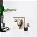 Picture of Neutral Cow _GroupedProduct_Square_Canvas_Framed_