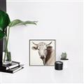 Picture of Neutral Cow _GroupedProduct_Square_Canvas_Framed_
