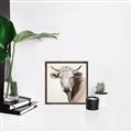 Picture of Neutral Cow _GroupedProduct_Square_Canvas_Framed_