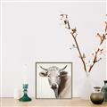 Picture of Neutral Cow _GroupedProduct_Square_Canvas_Framed_