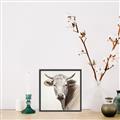 Picture of Neutral Cow _GroupedProduct_Square_Canvas_Framed_