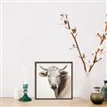 Picture of Neutral Cow _GroupedProduct_Square_Canvas_Framed_