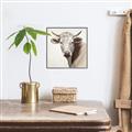 Picture of Neutral Cow _GroupedProduct_Square_Canvas_Framed_