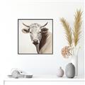Picture of Neutral Cow _GroupedProduct_Square_Canvas_Framed_