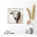 Picture of Neutral Cow _GroupedProduct_Square_Canvas_Framed_