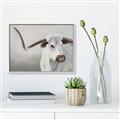 Picture of Cow with Big Horn _GroupedProduct_Rectangle_Landscape_Canvas_Framed_