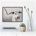 Picture of Cow with Big Horn _GroupedProduct_Rectangle_Landscape_Canvas_Framed_