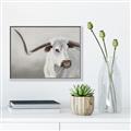 Picture of Cow with Big Horn _GroupedProduct_Rectangle_Landscape_Canvas_Framed_