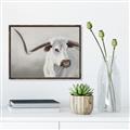 Picture of Cow with Big Horn _GroupedProduct_Rectangle_Landscape_Canvas_Framed_