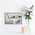 Picture of Cow with Big Horn _GroupedProduct_Rectangle_Landscape_Canvas_Framed_