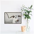 Picture of Cow with Big Horn _GroupedProduct_Rectangle_Landscape_Canvas_Framed_
