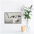 Picture of Cow with Big Horn _GroupedProduct_Rectangle_Landscape_Canvas_Framed_