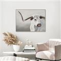 Picture of Cow with Big Horn _GroupedProduct_Rectangle_Landscape_Canvas_Framed_