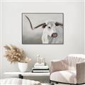 Picture of Cow with Big Horn _GroupedProduct_Rectangle_Landscape_Canvas_Framed_