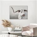 Picture of Cow with Big Horn _GroupedProduct_Rectangle_Landscape_Canvas_Framed_