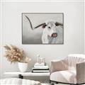 Picture of Cow with Big Horn _GroupedProduct_Rectangle_Landscape_Canvas_Framed_