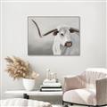Picture of Cow with Big Horn _GroupedProduct_Rectangle_Landscape_Canvas_Framed_