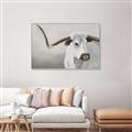 Picture of Cow with Big Horn _GroupedProduct_Rectangle_Landscape_Canvas_Framed_