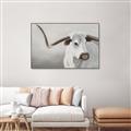 Picture of Cow with Big Horn _GroupedProduct_Rectangle_Landscape_Canvas_Framed_