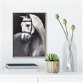Picture of Soft Horse _GroupedProduct_Rectangle_Portrait_Canvas_Framed_