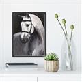 Picture of Soft Horse _GroupedProduct_Rectangle_Portrait_Canvas_Framed_