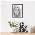 Picture of Living Owl _GroupedProduct_Rectangle_Portrait_Canvas_Framed_