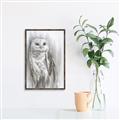 Picture of Living Owl _GroupedProduct_Rectangle_Portrait_Canvas_Framed_