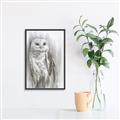 Picture of Living Owl _GroupedProduct_Rectangle_Portrait_Canvas_Framed_