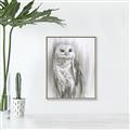 Picture of Living Owl _GroupedProduct_Rectangle_Portrait_Canvas_Framed_