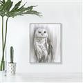 Picture of Living Owl _GroupedProduct_Rectangle_Portrait_Canvas_Framed_