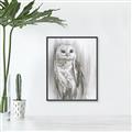 Picture of Living Owl _GroupedProduct_Rectangle_Portrait_Canvas_Framed_