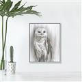 Picture of Living Owl _GroupedProduct_Rectangle_Portrait_Canvas_Framed_
